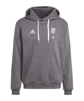 adidas Entrada 22 Hoody Grau