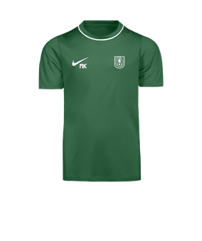 Nike Park 26 Trainingsshirt Kids Grün F302