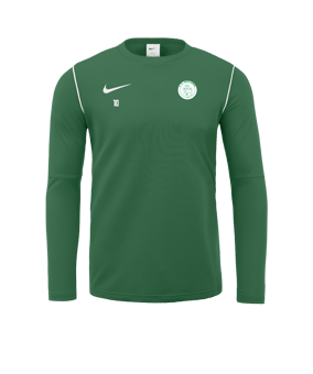 Sweatshirt Nike Park 20 enfants vert blanc F302 