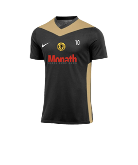 Nike Park Derby IV Trikot Schwarz Gold F011