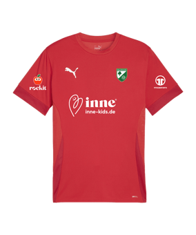 PUMA teamGOAL Matchday Trikot Rot Weiss F01