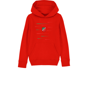 Merch Mini Cruiser 2.0 Hoody Kids Red FC004