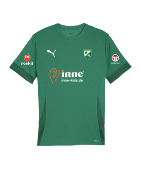 PUMA teamGOAL Matchday Trikot Grün Weiss F05
