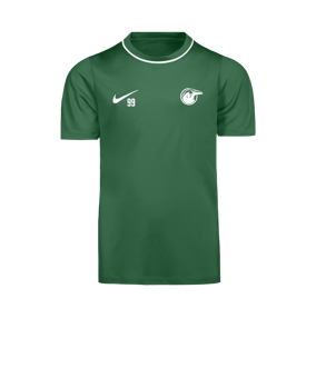 Nike Park 26 Trainingsshirt Kids Grün F302