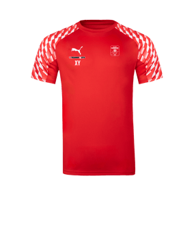 PUMA teamLIGA26 Trikot Rot F01