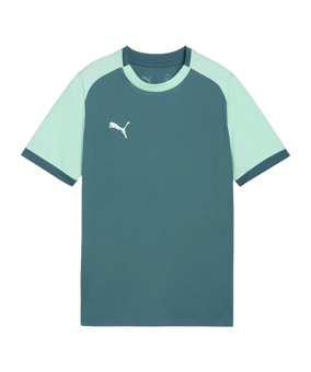 PUMA teamLIGA26 Matchday Trikot Kids Grün F43 - gruen