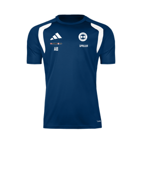 adidas Tiro 26 Trikot Blau