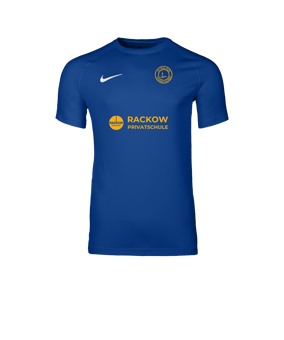 Nike Park VIII Trikot Blau F463