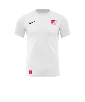 Nike Park VII Trikot kurzarm Weiss F100