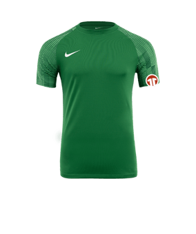 Nike Academy Trikot Grün Weiss F302