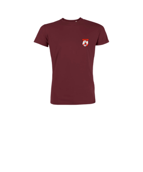 Merch Mini Creator 2.0 T-Shirt Kids Burgundy | #justlogo4c
