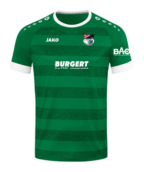 JAKO Celtic Melange KA Trikot Grün F200 