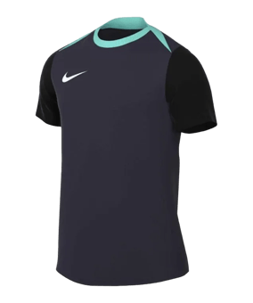Nike Academy Pro 24 Trainingsshirt Blau F454