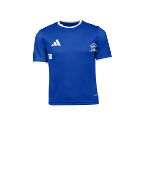 adidas Entrada 26 Trikot Kids Blau