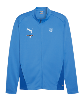 PUMA teamGOAL Trainingsjacke Blau F02