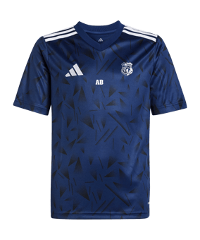 adidas Team Icon 25 Trikot Kids Blau