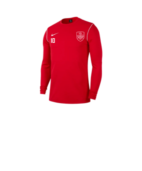 Nike Park 20 Sweatshirt Kids Rot F657