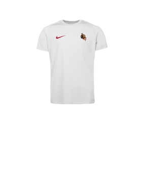 Nike Park VIII Maillot Enfants Blanc C103