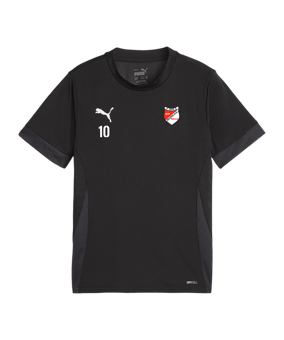 PUMA teamGOAL Matchday Trikot Kids Schwarz Weiss F03