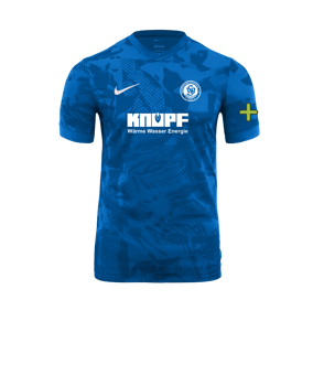 Nike Precision VII Trikot Blau F463