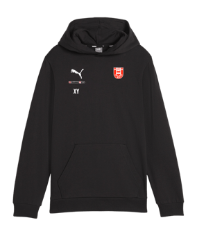 PUMA teamGOAL Casuals Hoody Kids Schwarz F03