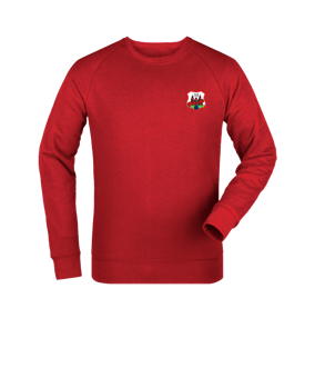 Merch Roller Sweatshirt Red | #justlogo4c