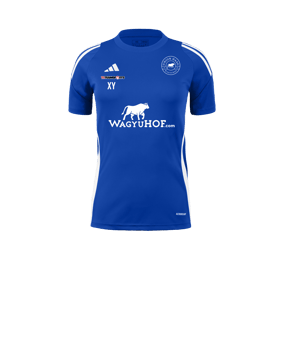 adidas Tiro 24 Trikot Damen Blau Weiss