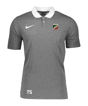 Nike Park 20 Poloshirt Grau Weiss F071