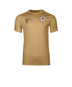 Nike Park VIII Maillot Gold C729