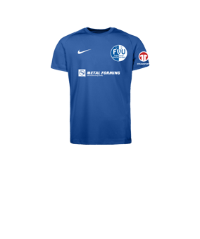 Nike Park VIII Trikot Kids Blau F463