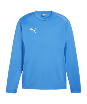 PUMA teamGOAL Training Sweatshirt Blau F02 - hellblau