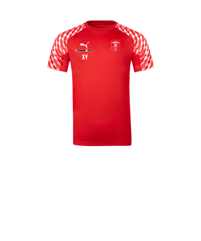 PUMA teamLIGA26 Trikot Kids Rot F01