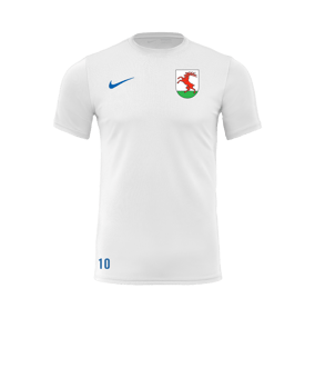 Nike Park VII Trikot Weiss Blau F102