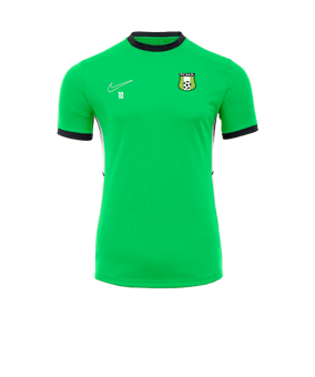 Nike Academy 25 Formation Vert C329