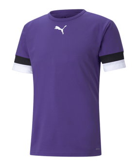 PUMA teamRISE Trikot Lila F10 - lila