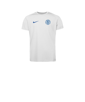 Nike Park VIII Trikot Kids Weiß F104