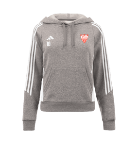 Sweat à capuche adidas Tiro 24 femmes gris blanc 