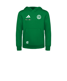 adidas Entrada 26 Hoody Kids Grün
