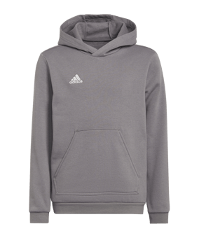 adidas Entrada 22 Hoody Kids Grau - grau