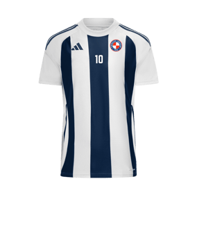 adidas Trikot Blau