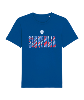 Nike NZSx11TS Slowenien T-Shirt EM 2024 Blau F463 - blau