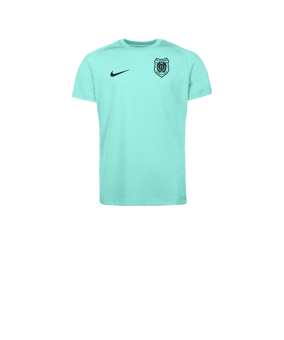 Nike Park VIII Trikot Kids Türkis F354