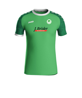 JAKO Iconic Trikot Kids Grün F222