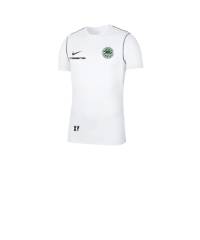 Nike Park 20 T-Shirt Kids Weiss F100