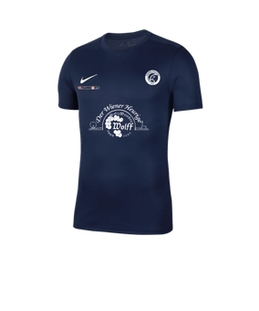 Nike Park VII Trikot kurzarm Blau F410