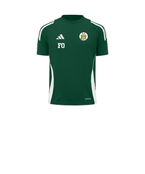 adidas Tiro 24 Trikot Kids Grün Weiss