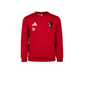 adidas Entrada 26 Sweatshirt Kids Rot