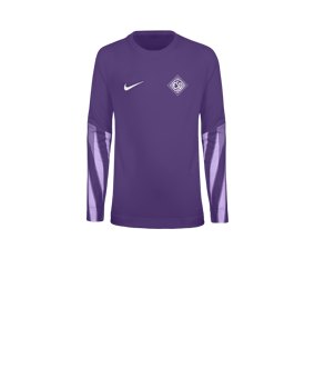 Nike Park V Torwarttrikot Langarm Kids Lila F507