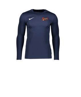 Nike Park VII Trikot langarm Kids F410