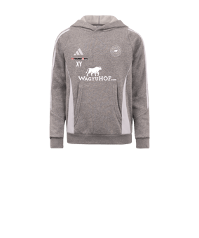 adidas Tiro 24 Hoody Kids Grau Weiss
